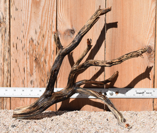 Manzanita #1379 15"x7"x12"