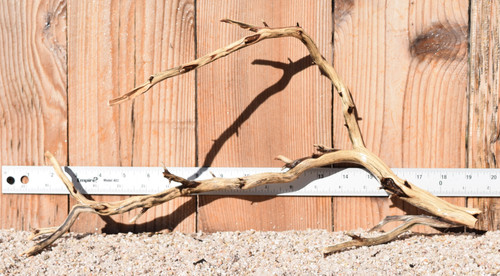 Manzanita #1390 18"x7"x9"