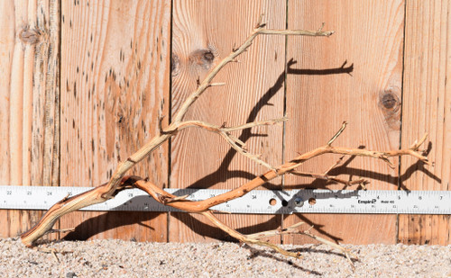 Manzanita #1391 20"x8"x11"