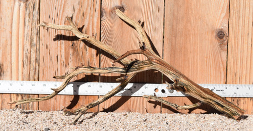 Manzanita #1397 20"x5"x10"