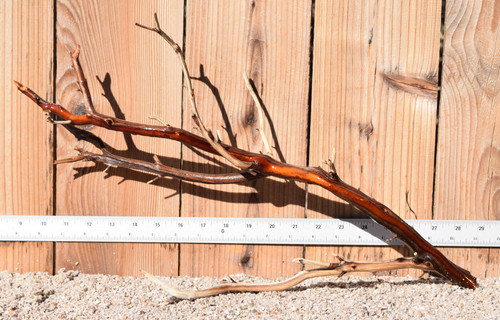 Manzanita #1401 20"x6"x12"