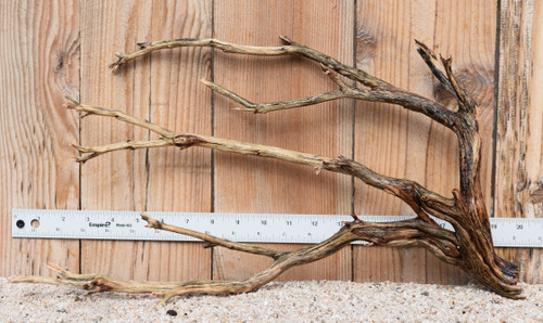 Manzanita #1506 19"x5"x10"