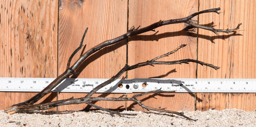 Uncleaned Manzanita 1466 19"x5"x9"