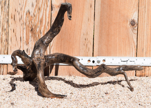 Spiderwood#1592 15"x10"x10"