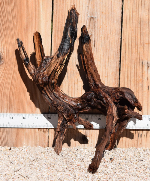 Spiderwood#1596 10"x8"x11"