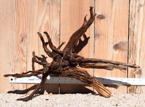 Spiderwood#1597 21"x9"x14"