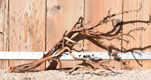 Manzanita #1708 19"x8"x10"