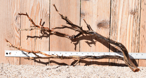 Manzanita #1710 24"x9"x12"