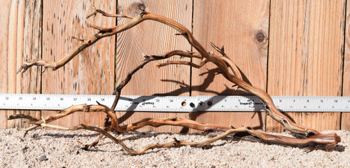 Manzanita #1714 22"x10"x10"