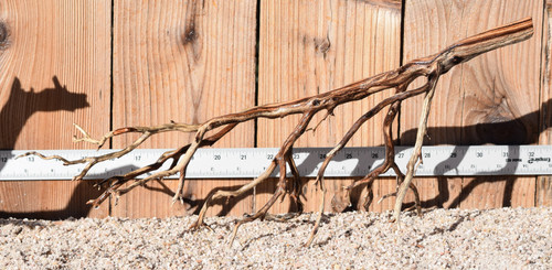 Manzanita #1718 19"x8"x8"