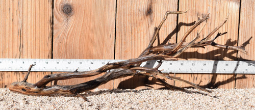 Manzanita #1721 21"x7"x7"