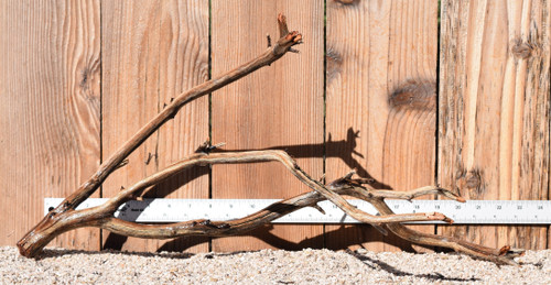 Manzanita #1775 24"x10"x12"