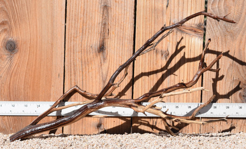 Manzanita #1777 18"x7"x10"