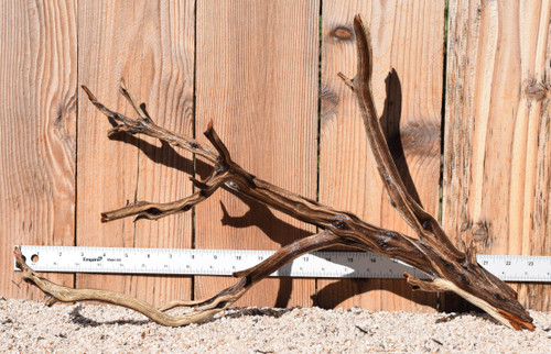 Manzanita #1778 22"x9"x13"