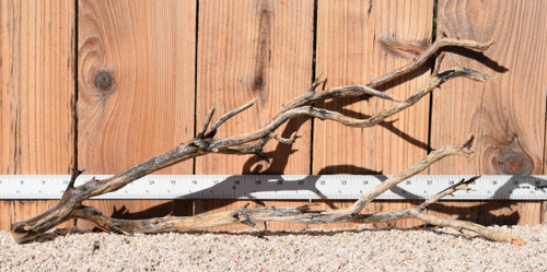 Manzanita #1780 23"x8"x9"