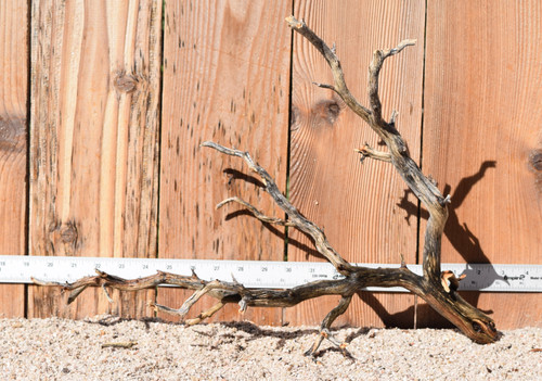 Manzanita #1785 19"x7"x14"