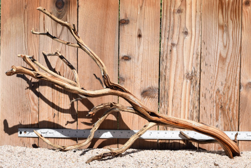 Xlg Manzanita #1802 31"x11"x18"