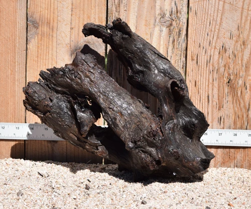 Janglewood #1819 13"x8"x11"