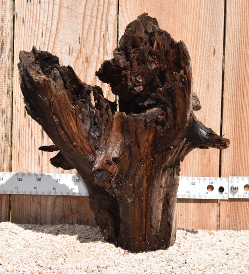 Janglewood #1824 10"x8"x12"