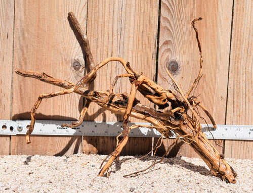 Kakado Wood 1835  16"x7"x11"