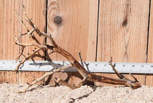 Manzanita #1944 14"x10"x9"