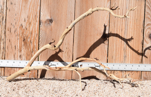 Manzanita #1946 20"x7"x12"