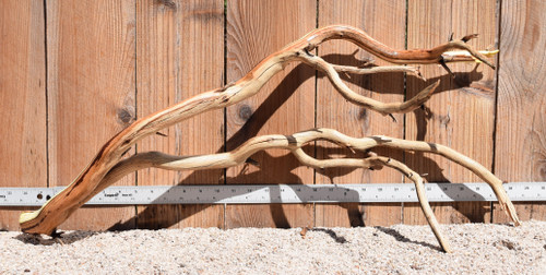 Xlg Manzanita #1962 30"x12"x12"