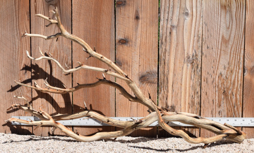 Xlg Manzanita #1963 29"x9"x16"