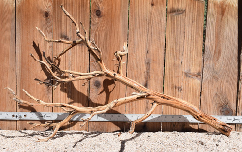 Xlg Manzanita #1966 31"x13"x19"