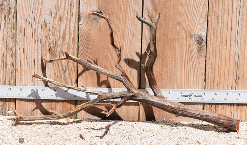 Manzanita #2046 19"x7"x10"