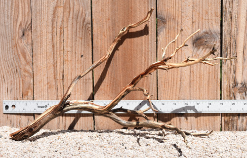 Manzanita #2048 18"x8"x10"