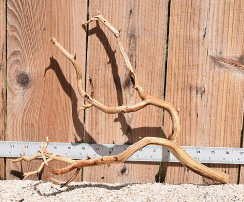 Manzanita #2053 16"x6"x12"