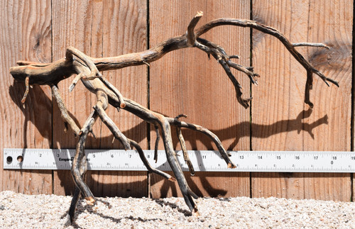 Manzanita #2060 17"x10"x10"