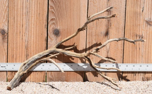 Manzanita #2065 19"x6"x11"