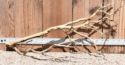 Manzanita #2072 22"x9"x10"