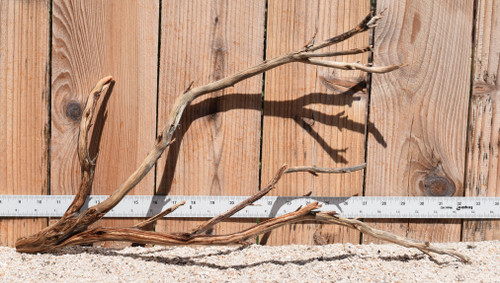 Manzanita #2074 23"x7"x12"