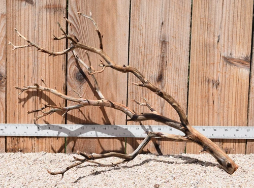 Manzanita #2202 20"x10"x13"