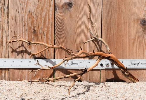Manzanita #2210 16"x9"x10"