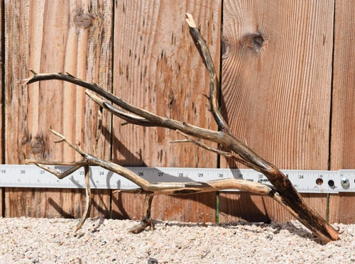 Manzanita #2213 15"x5"x11"