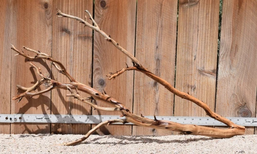 Xlg Manzanita #2248 31"x12"x17"