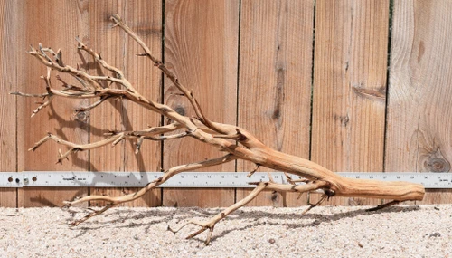 Xlg Manzanita #2250 29"x11"x14"