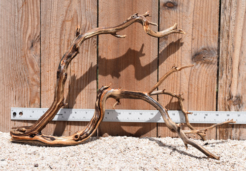 Manzanita #2347 20"x7"x12"