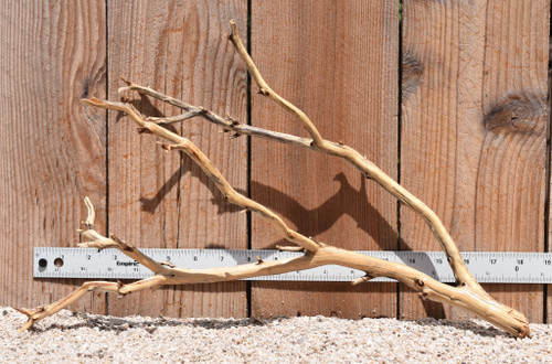 Manzanita #2350 18"x7"x11"