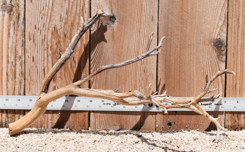 Manzanita #2431 18"x8"x10"