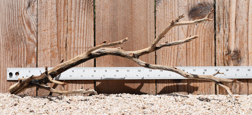 Manzanita #2439 19"x7"x7"