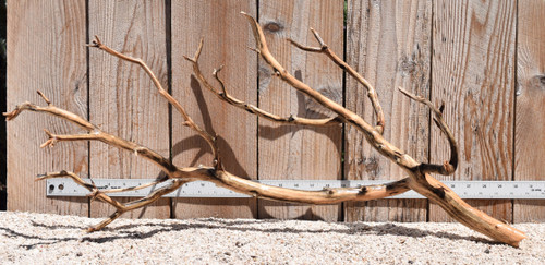 Xlg Manzanita #2374 31"x12"x14"