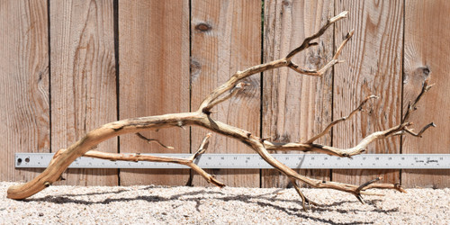Xlg Manzanita #2376 30"x12"x15"