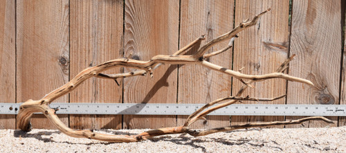 Xlg Manzanita #2377 29"x12"x12"