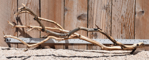 Xlg Manzanita #2378 33"x16"x12"