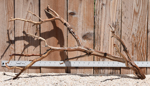 Xlg Manzanita #2380 29"x10"x15"